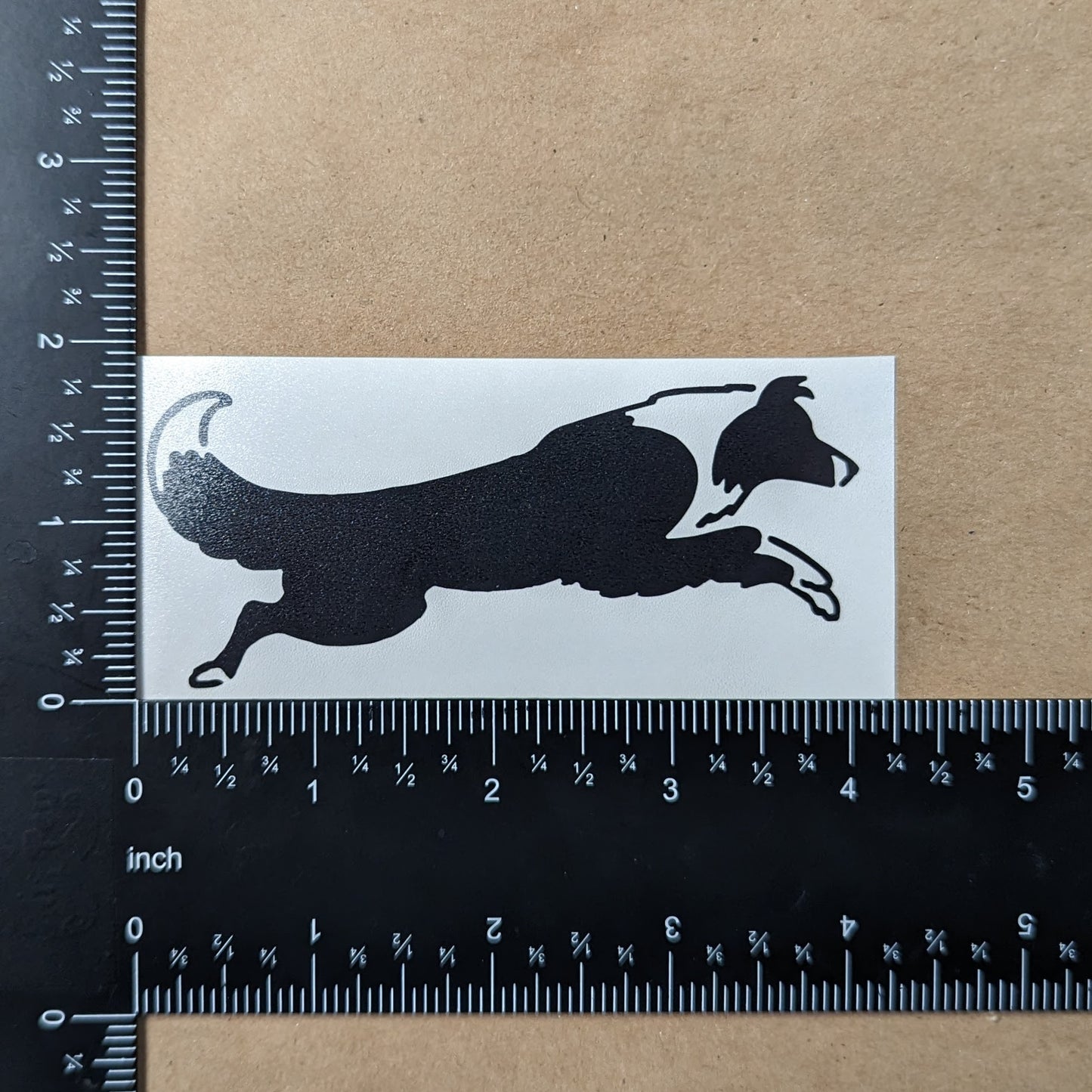 Border Collie Decal 4 Pack