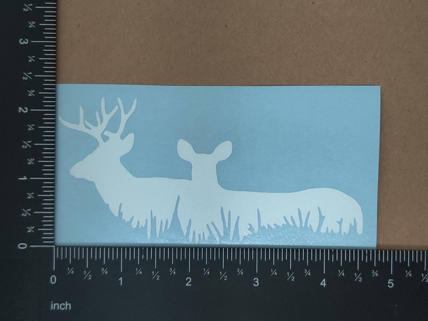 Deer Buck Decal 4 Pack