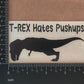 T-Rex Decals 4 Pack