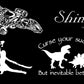 Firefly Decal 4 Pack: Serenity, Shiny, River Tam, Decals